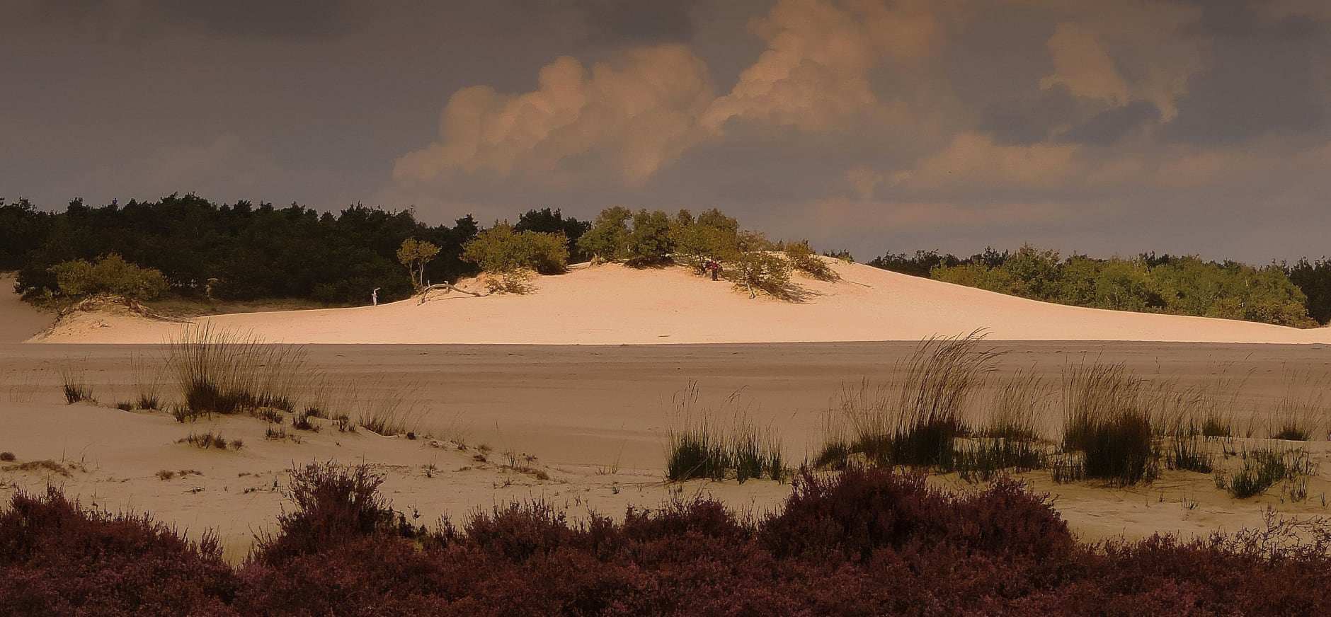 Nationaal Park Loonse en Drunense Duinen Natuurgebied Natuurmonumenten
